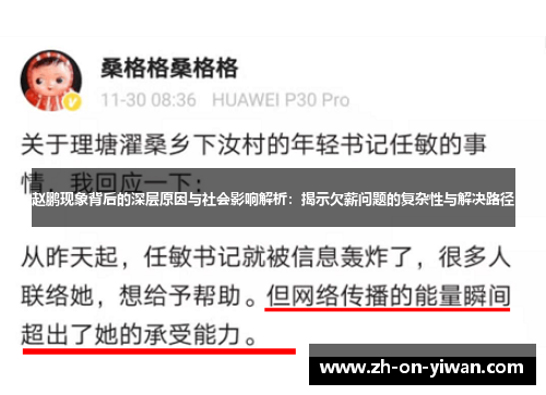 赵鹏现象背后的深层原因与社会影响解析：揭示欠薪问题的复杂性与解决路径