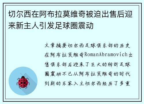 切尔西在阿布拉莫维奇被迫出售后迎来新主人引发足球圈震动